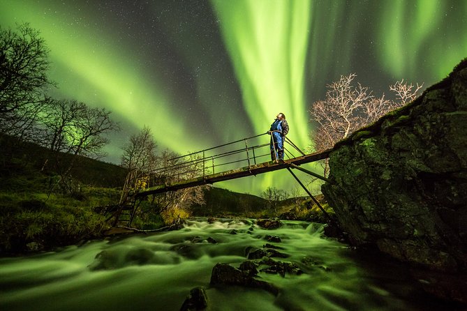 A snowy landscape under the Northern Lights